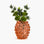 YALI BOBOLI VASE PEACH