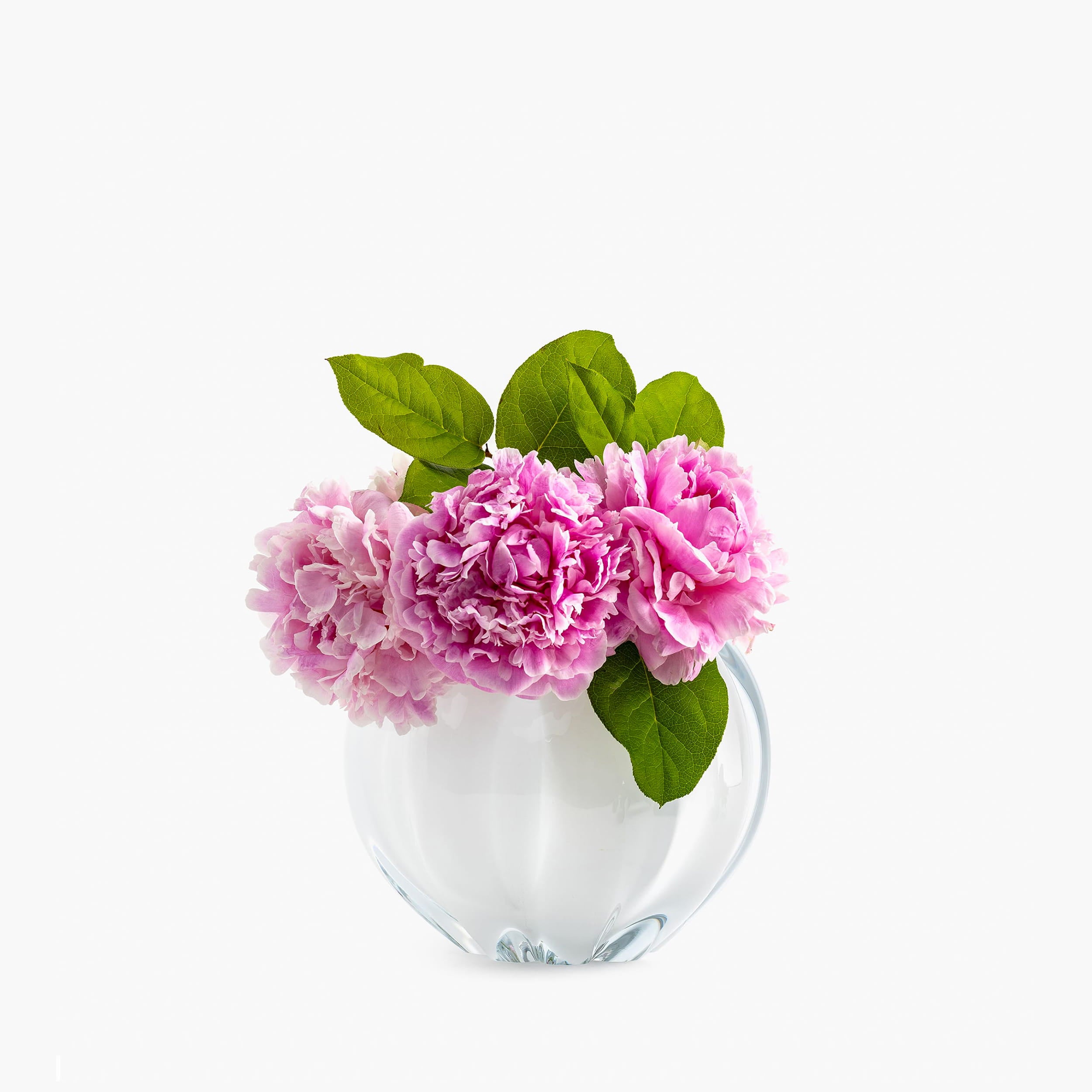 YALI FIORI BOLLA VASE LATTIMO LARGE