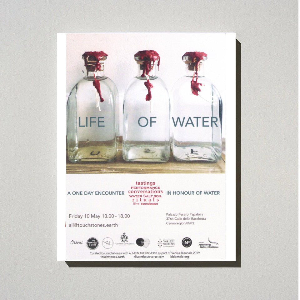 VENICE BIENNALE 2019