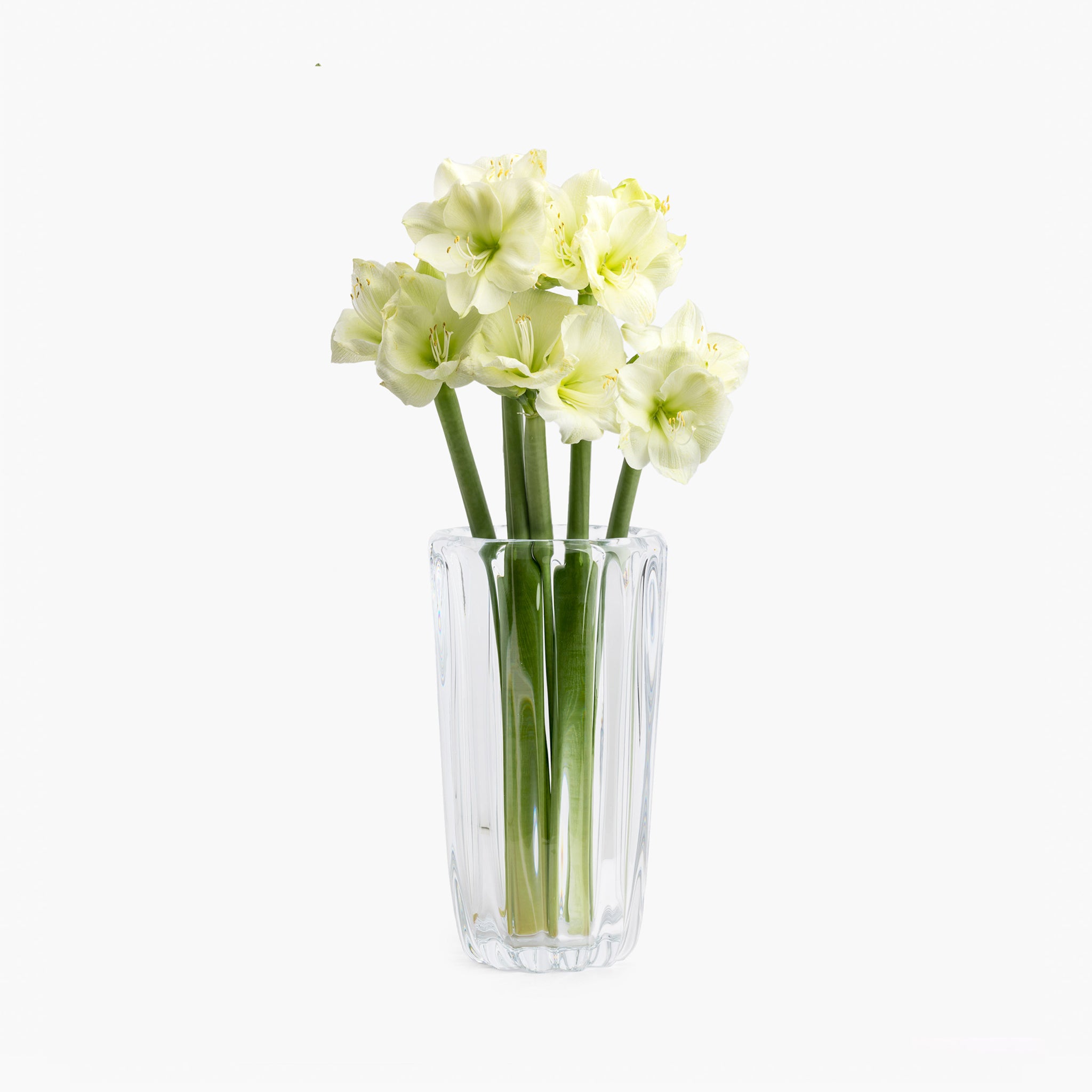 YALI FIORI VASE CLEAR GIANT