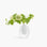 YALI LUNA VASES WHITE