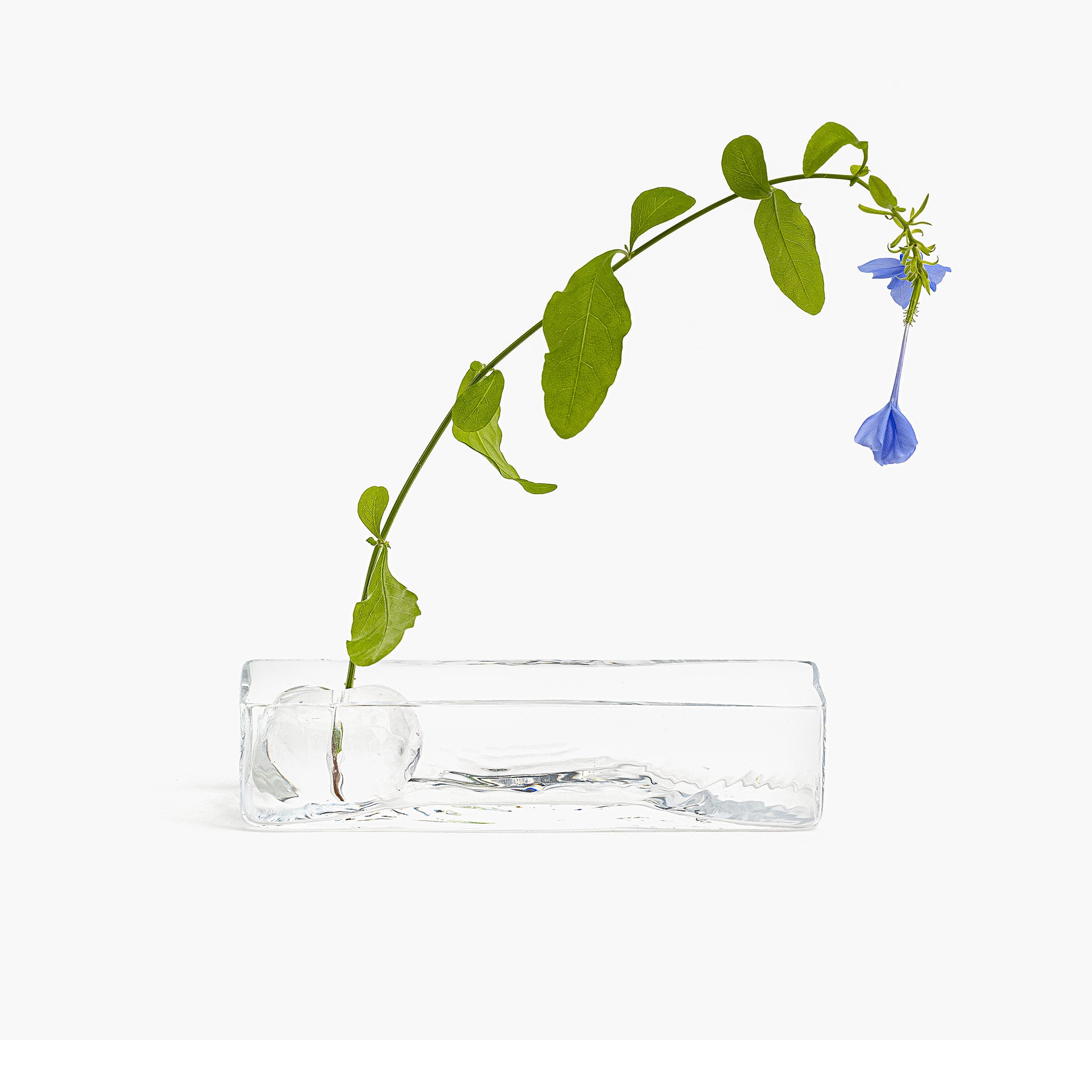 YALI MITATE VESSEL CLEAR