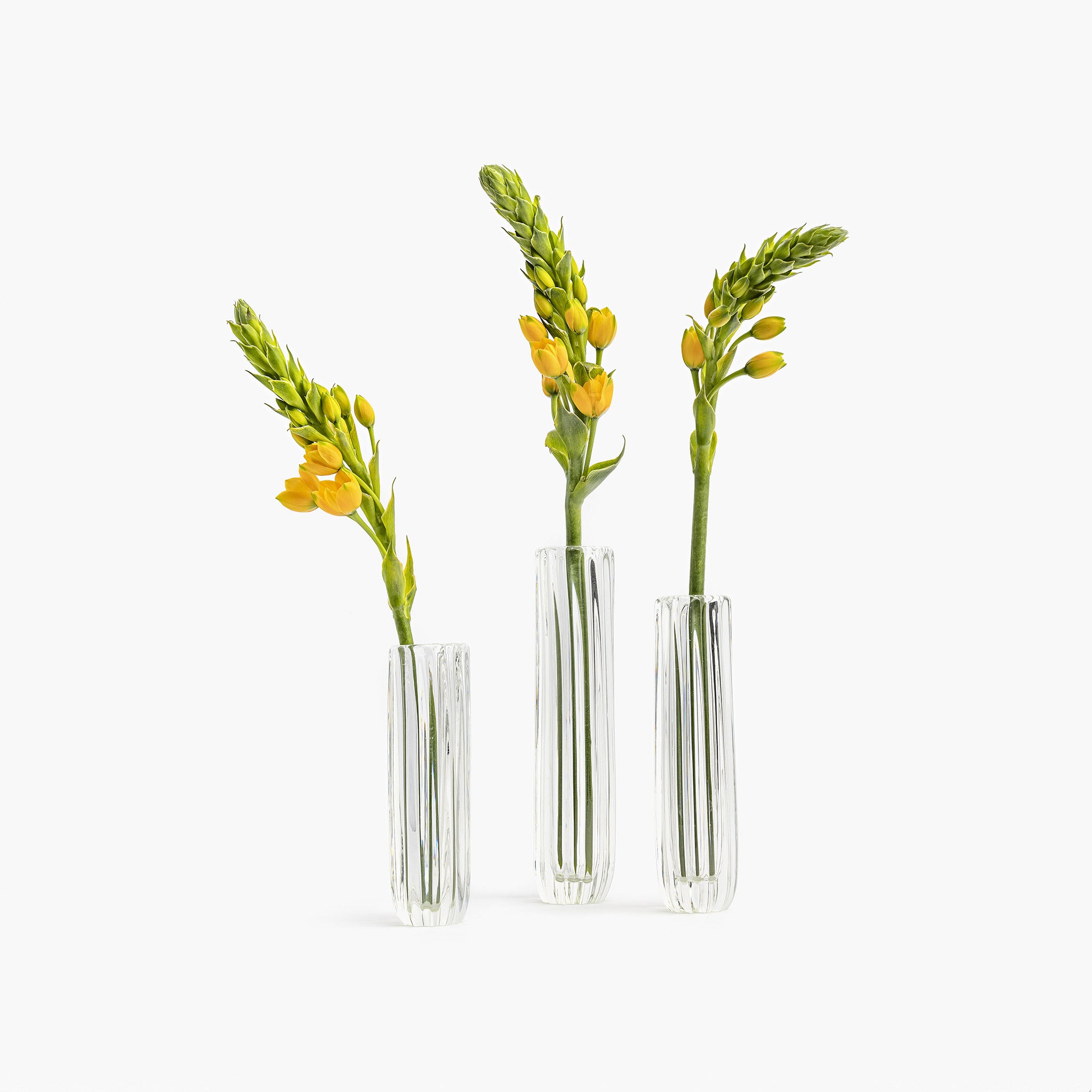 YALI WAVE TUBINO VASES CLEAR