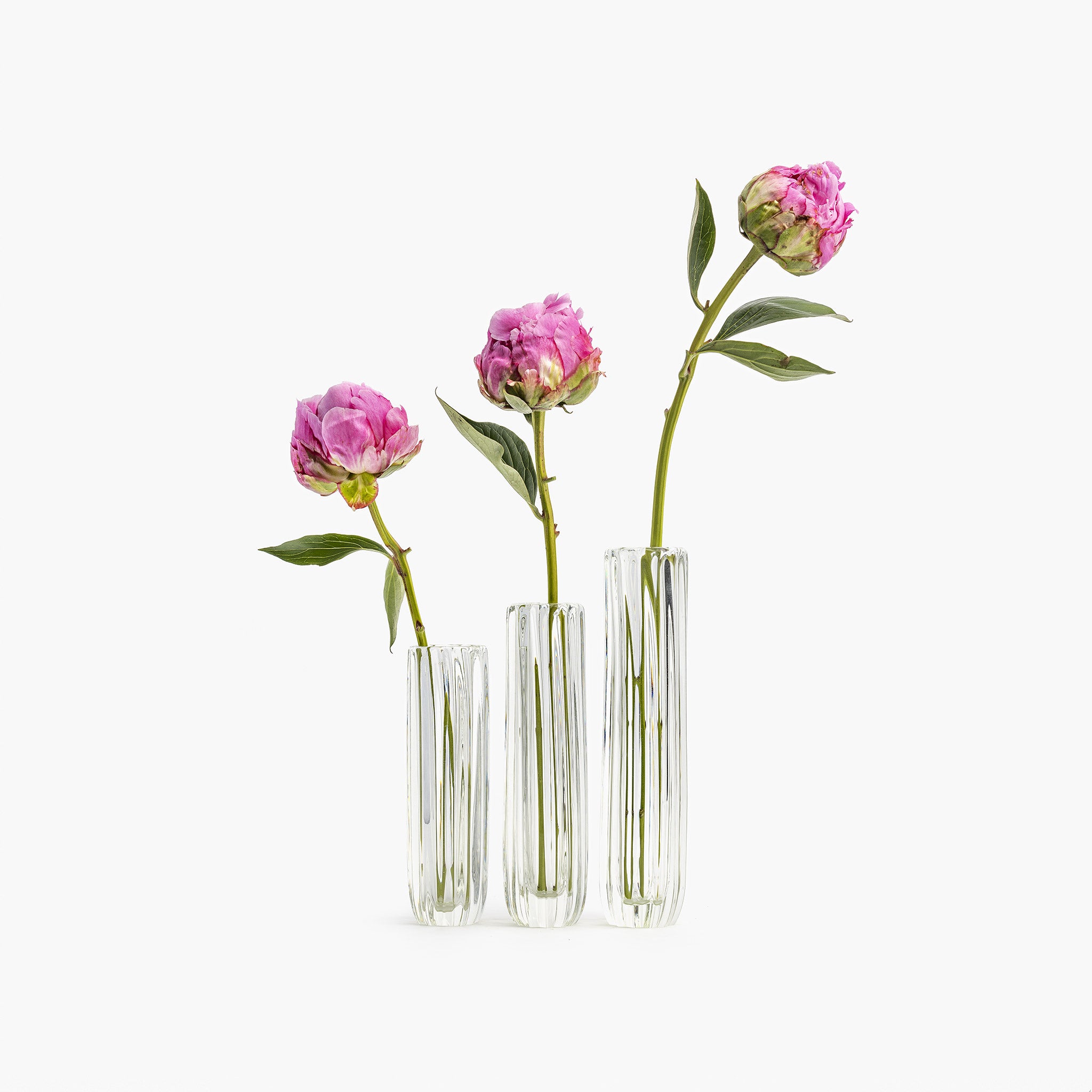 YALI WAVE TUBINO VASES CLEAR